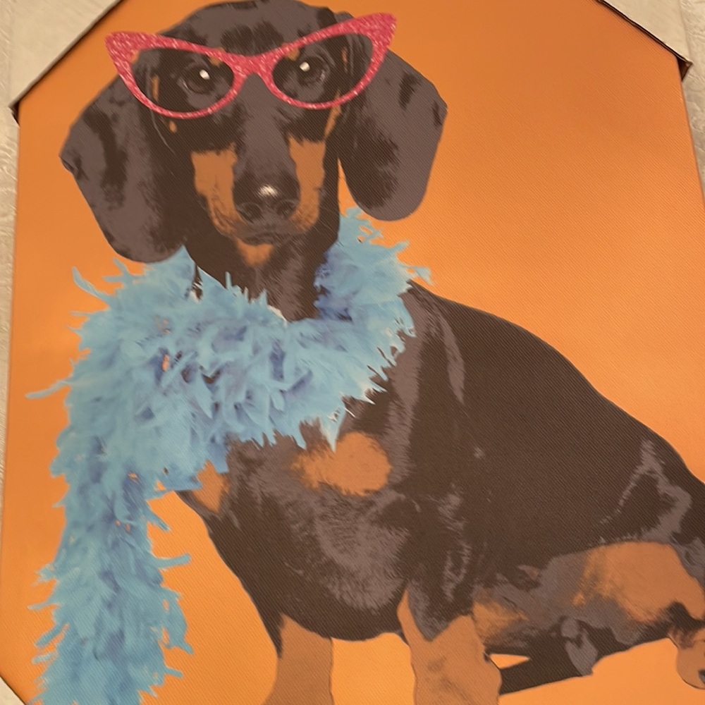 Glamour Doxy canvas print by Doug Hernandez - Picture 3 of 10